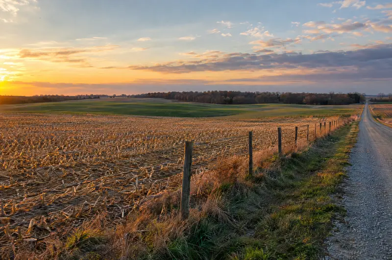 Open Midwest cropland at sunset beside a gravel country road and fence line