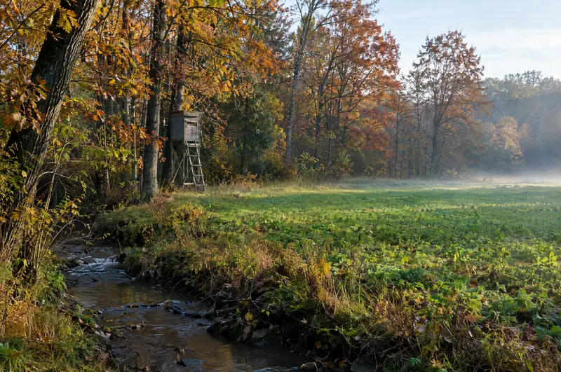 Hardwood timber, creek and food plot on rural recreational land in autumn